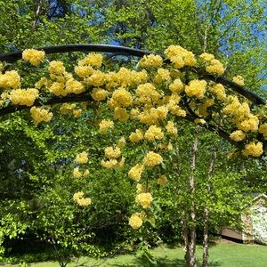 Make an offer today🦋